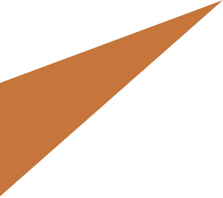 Vector 2